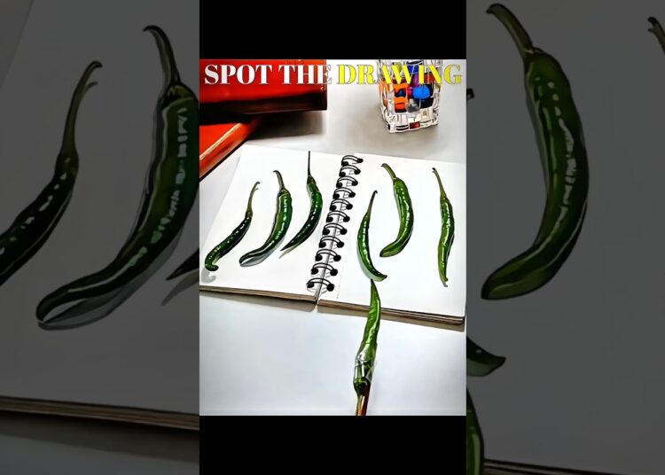 Spot The Drawing 🖍️👀 #shorts #viral #art #usa #artist #trending #edit
