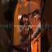 Gotye – Somebody that I used to know || Viral Video Song #music #somebodythatiusedtoknow #aurasonic