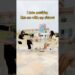Gossip Paglu Sisters✋#shorts #funny #viral