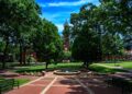 A picture of the Evans Clock Tower on the Queens University campus with a brick plaza in the foreground and trees surrounding the view.