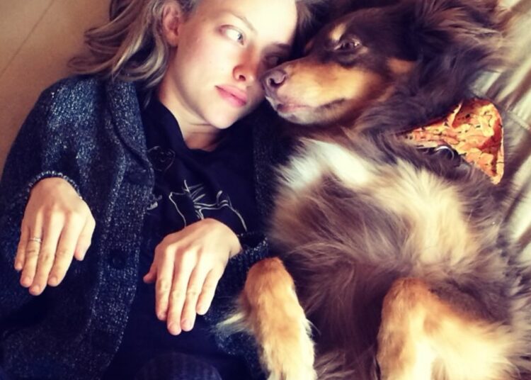 Amanda Seyfried Shares Death of Dog Finn