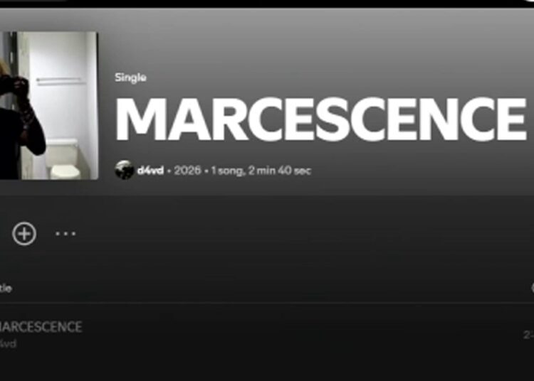 A song purportedly by singer D4vd briefly appeared on Spotify before being removed from the platform after about eight hours.