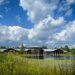 The Wild Center