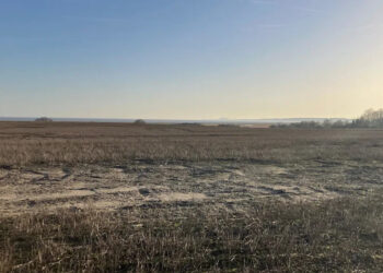 A view over an agricultural field during sunset. The sea is in the distance.