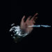 Stereogum home