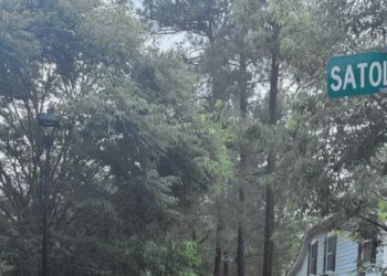 Columbia County's Bartram Trail could add 38 homes under new proposal