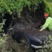 Couple cut back overgrown hedge and uncover a rare, world-first sports car that was incredibly popular with the UK's Royal Family