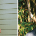 Childish Gambino Joins Dahi on 'Running' From Upcoming 'Black Boy (Alternative)' Album