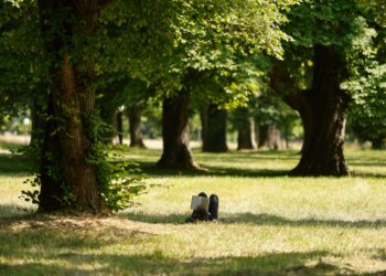 ECFR’s summer entertainment list 2026