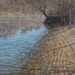 Oil paintings “Piney Creek” and “Deep Valley” and pastels “Cluster of Hives II” and “Three Hives” are part of “In Natural Space,” recent landscapes and other paintings David Mudrinich, going on display Friday at Cantrell Gallery in Little Rock. (Special to the Democrat-Gazette)