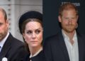 'Enough on their plate': Royal expert reveals Prince William and Princess Catherine refuse to be a part of the Harry and Meghan 'circus'