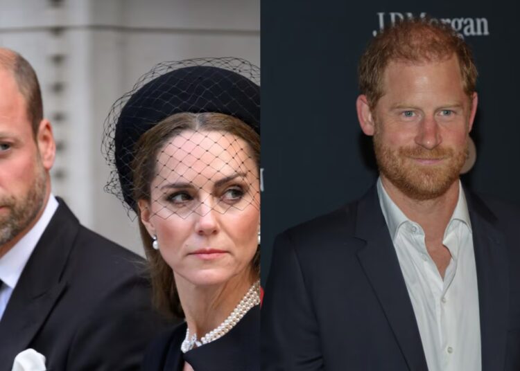 'Enough on their plate': Royal expert reveals Prince William and Princess Catherine refuse to be a part of the Harry and Meghan 'circus'