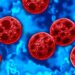 Illustration of multiple red Cyclospora cayetanensis parasites against a blue background, representing a cyclosporiasis outbreak.