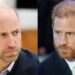 'F-ing hates his brother': Royal expert reveals insiders' four scathing words to describe Prince William's true feelings towards Harry