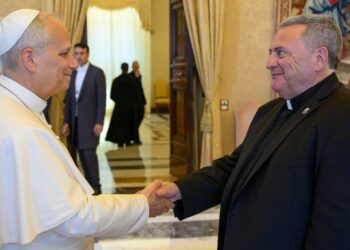 Father Marina Reflects on Meeting Pope Leo XIV (Video + Photos)