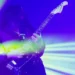 strobe lights filter a guitarist in blue and yellow lighting