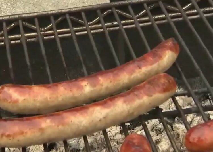 German Fest is back; three days of authentic food and entertainment