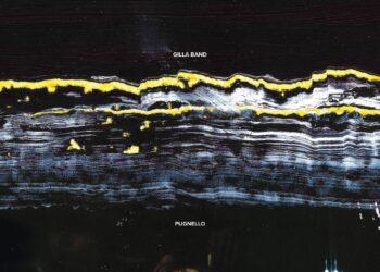 Gilla Band announce new album 'Pugnello' and share abrasive single 'Placeholder'