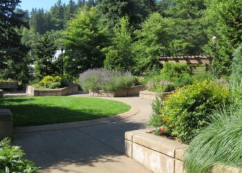 Guitar - Music in the Garden with Friends of Portland Memory Garden