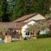 Hinman Vineyards Unveils Summer Lineup of Music, Arts and Community Events