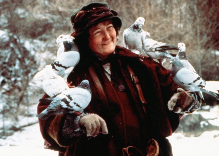 Brenda Fricker in Home Alone 2Credit: 20th Century Fox/Kobal/Shutterstock