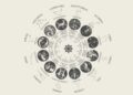 Horoscope tomorrow (Pinterest )
