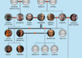 The Targaryen family tree from HBO's House of the Dragon.