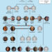 The Targaryen family tree from HBO's House of the Dragon.