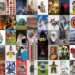 Contemporary100's inaugural collection of trading cards