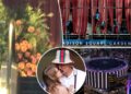 Inside Taylor Swift and Travis Kelce's rehearsal dinner