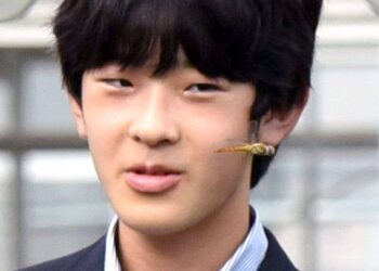 Prince Hisahito watching a dragonfly