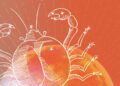 July Horoscope 2026: The 3 Zodiac Signs Whose Love Lives Are Heating Up This Month