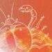 July Horoscope 2026: The 3 Zodiac Signs Whose Love Lives Are Heating Up This Month