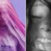 A split image of the album covers for Madonna's "Confessions II" and Ariana Grande's "Petal"