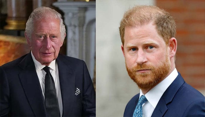 King Charles carries on with royal duty amid Prince Harry drama