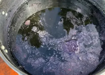 Learn indigo dyeing at Siren Song Fleece Works | Entertainment