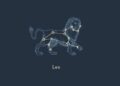Leo Horoscope (Pinterest)
