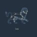 Leo Horoscope (Pinterest)