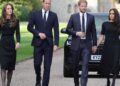 Meghan Markle Believes Prince Harry's Family Is 'Out to Poison' Things — Insider