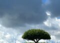 Sky with dark clouds