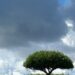 Sky with dark clouds