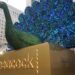 NBCUniversal's Peacock to join YouTube Premium