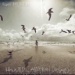 New Music Friday: July 3, 2026 – The Indy Review