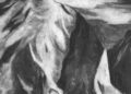 New music – Midori Hirano: The Juniper Tree (Viernulvier Records / Thrill Jockey)