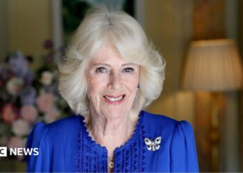 A picture of Queen Camilla in a blue dress