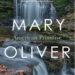 'American Primitive' by Mary Oliver