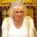 Prince Harry Faces Royal Reality as Queen Camilla…
