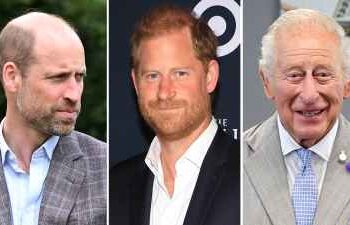 Prince William Prince Harry King Charles Reunion
