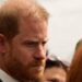 Prince Harry Wants ‘Royal Treatment’, but Palace Thinks Otherwise — Source