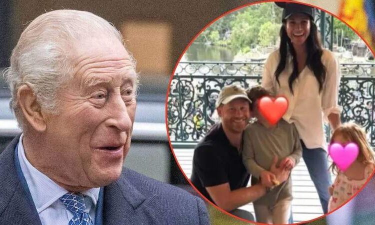 Prince Harry and Markle are now facing claims about their royal reconciliation efforts.MEGA; @meghan/Instagram